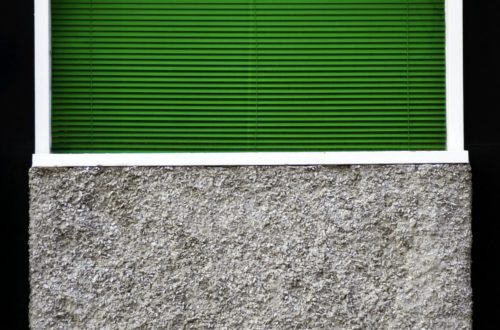 adam dachis VW 6zz 8z9c unsplash scaled
